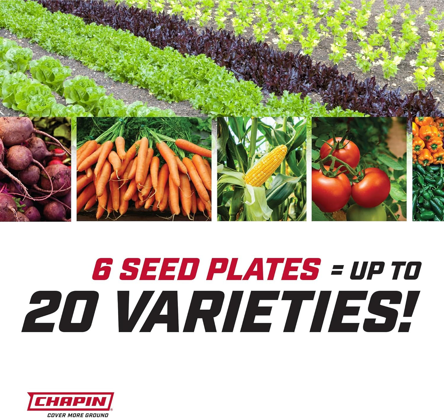 Chapin  Garden Push Seeder Planter with 6 Seed Plates for up to 20 Varieties of Seeds, Zinc Plow Blade, Row Marker, Powder Coated Steel Frame, Red/Black