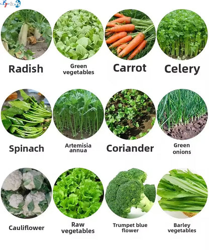 Vegetable and Medicinal Herb Seeder Agricultural Machinery Rapeseed Seed Sowing Rice Planting Vegetable Planters Seeder Machine